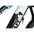 XY-Off road EMTB mountain bike